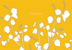 C3X50041 3x5 Occasion Card, Blank Inside - Thank You